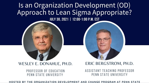 16. Is an Organizational Development (OD) Approach to Lean Sigma Appropriate?